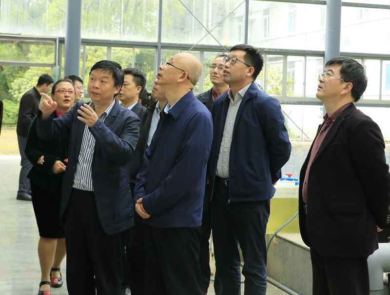 罗非鱼.jpg