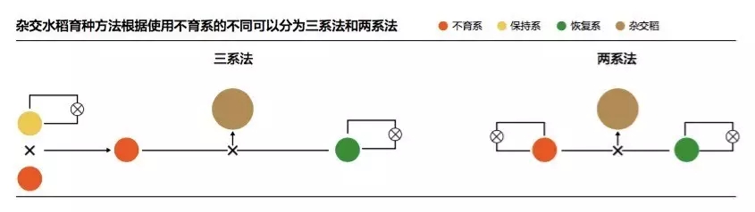 微信图片_20210524100059.jpg
