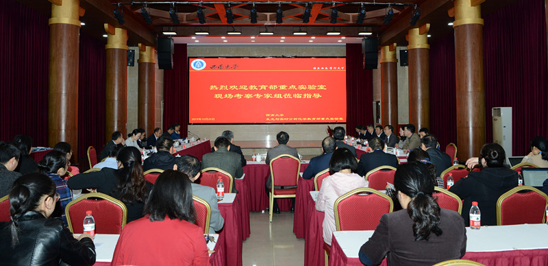 现场考察图片_副本.jpg