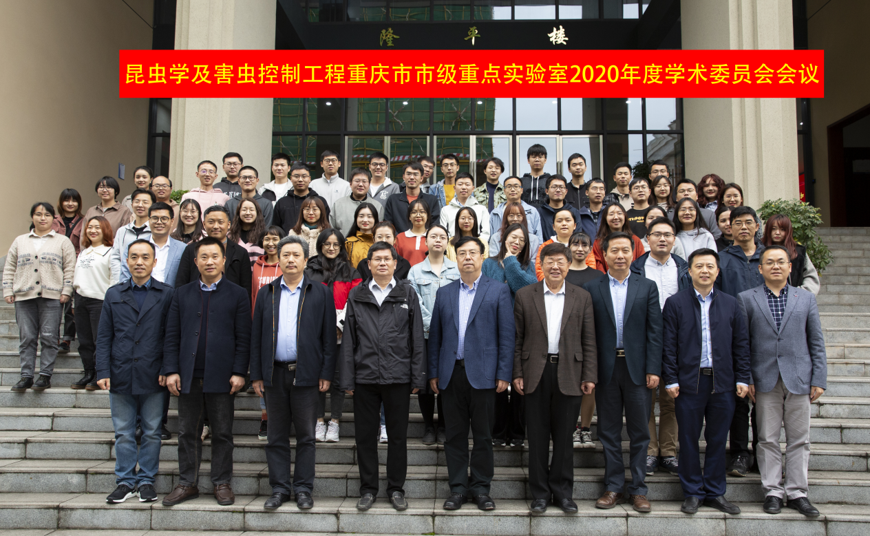 QQ图片20201124144843.png