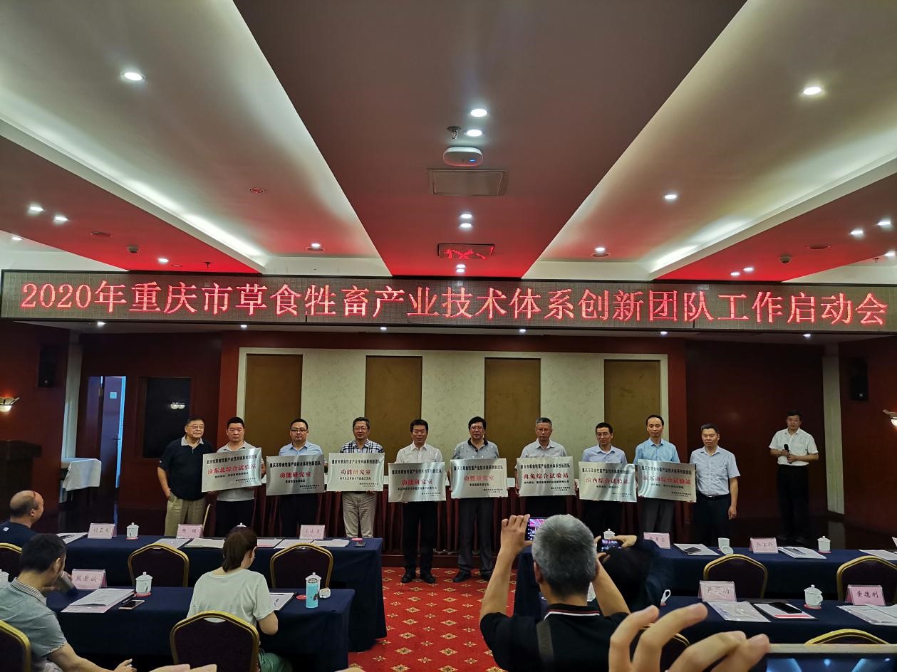 授牌仪式.jpg
